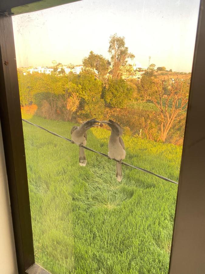 The Natural View 布什格尔 外观 照片
